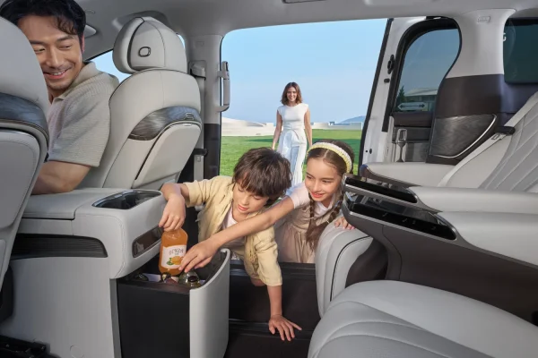 BYD DENZA
