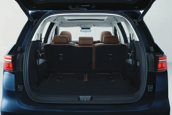 BYD M6